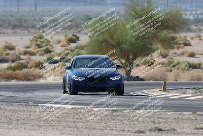 media/Oct-24-2025-Doghouse Garage (Fri) [[783d2ff07a]]/1-Advanced/Session 2 Turn 5 Tree of Life/